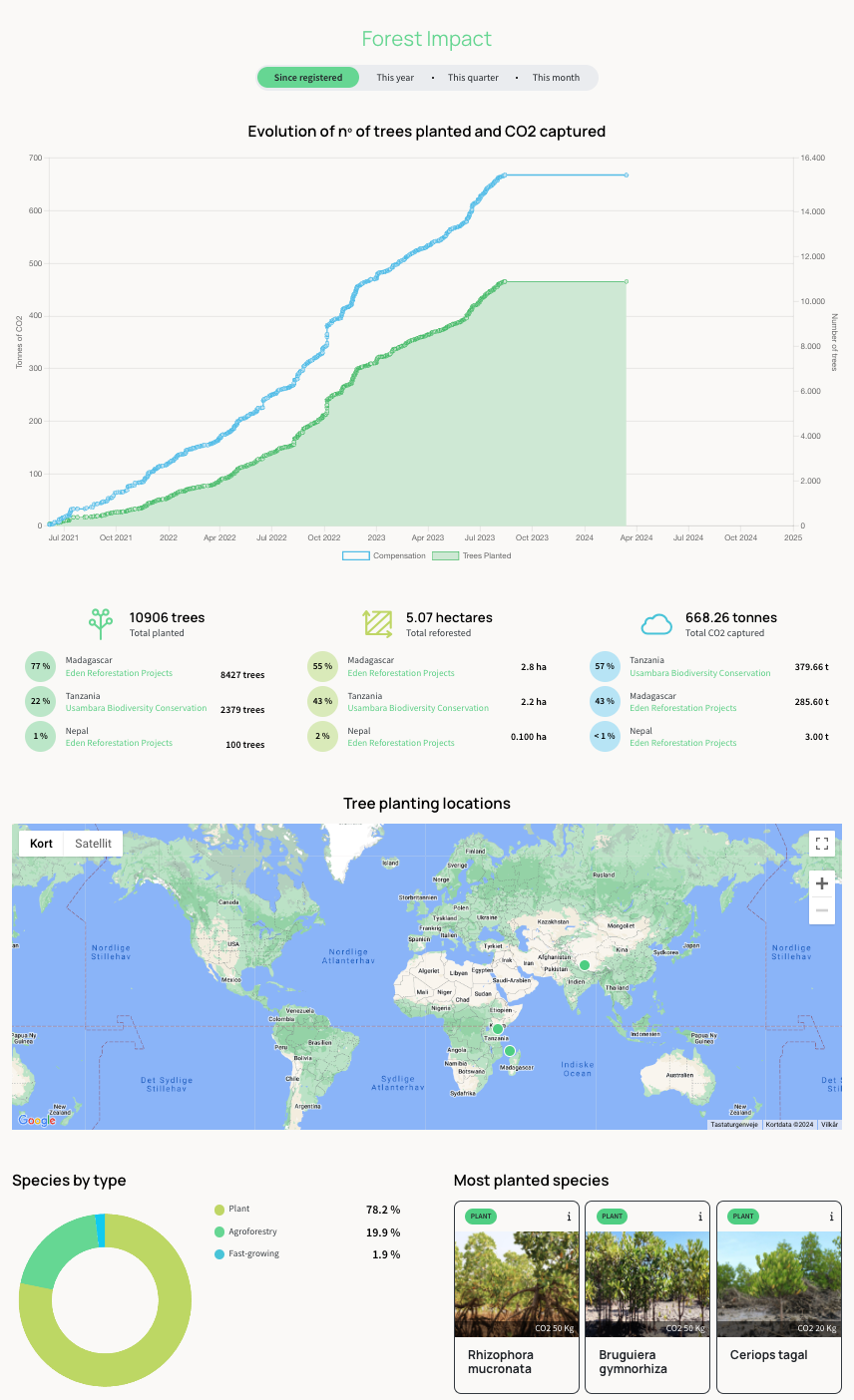 Discover Sustainable Comfort with Democratique Socks